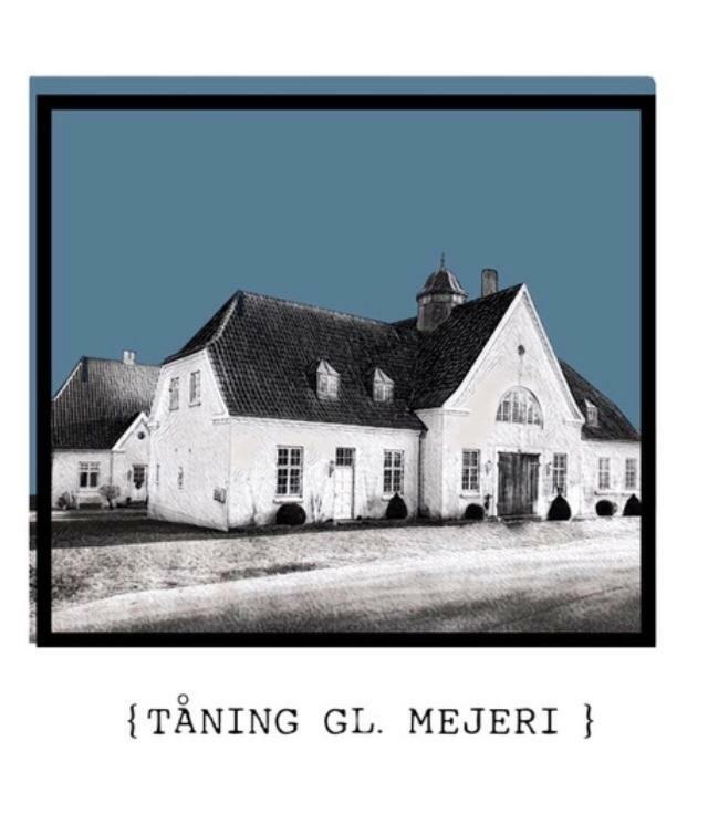 Taning Gl. Mejeri Apartment Skanderborg Luaran gambar